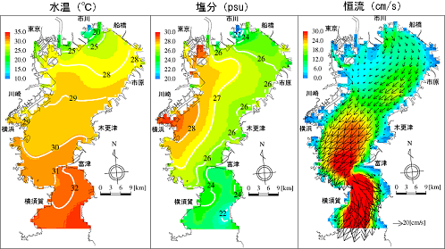 流動モデル